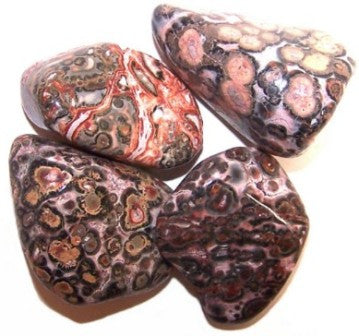 Leopardskin Jasper